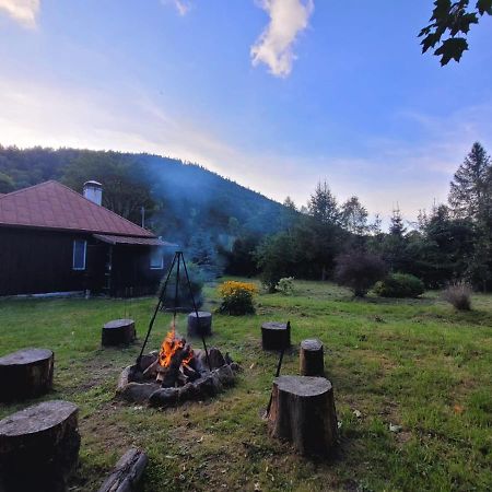 Patysiowka Villa Stronie Śląskie Buitenkant foto