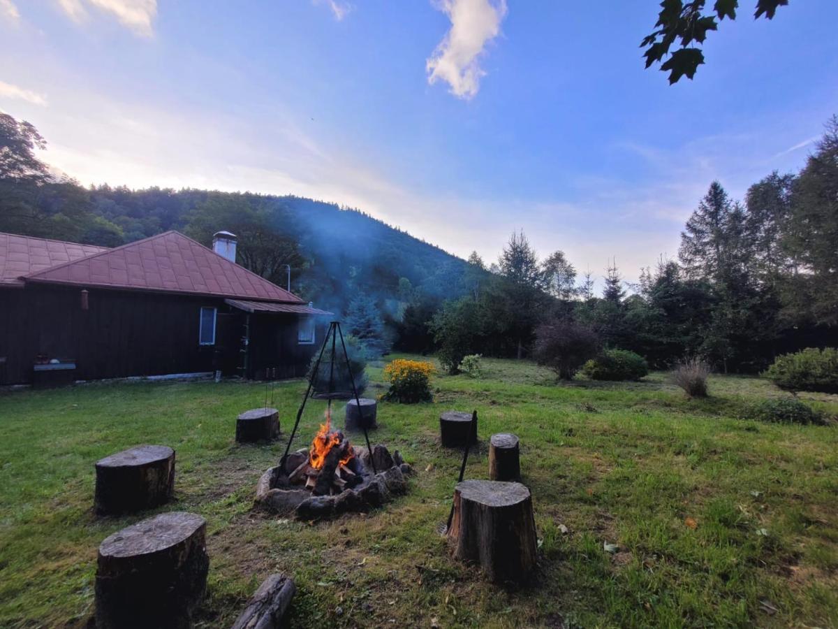 Patysiowka Villa Stronie Śląskie Buitenkant foto