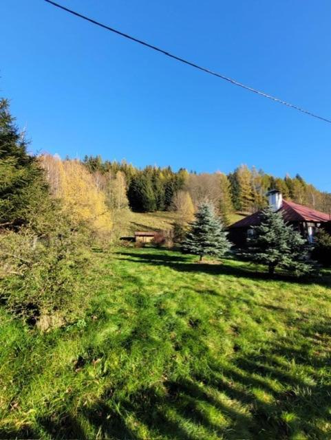 Patysiowka Villa Stronie Śląskie Buitenkant foto